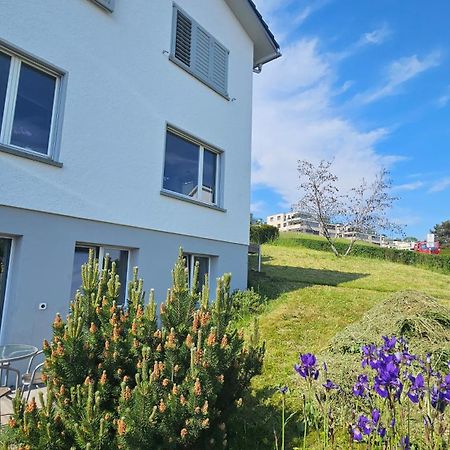 Lake View Private Studio Richterswil Kültér fotó