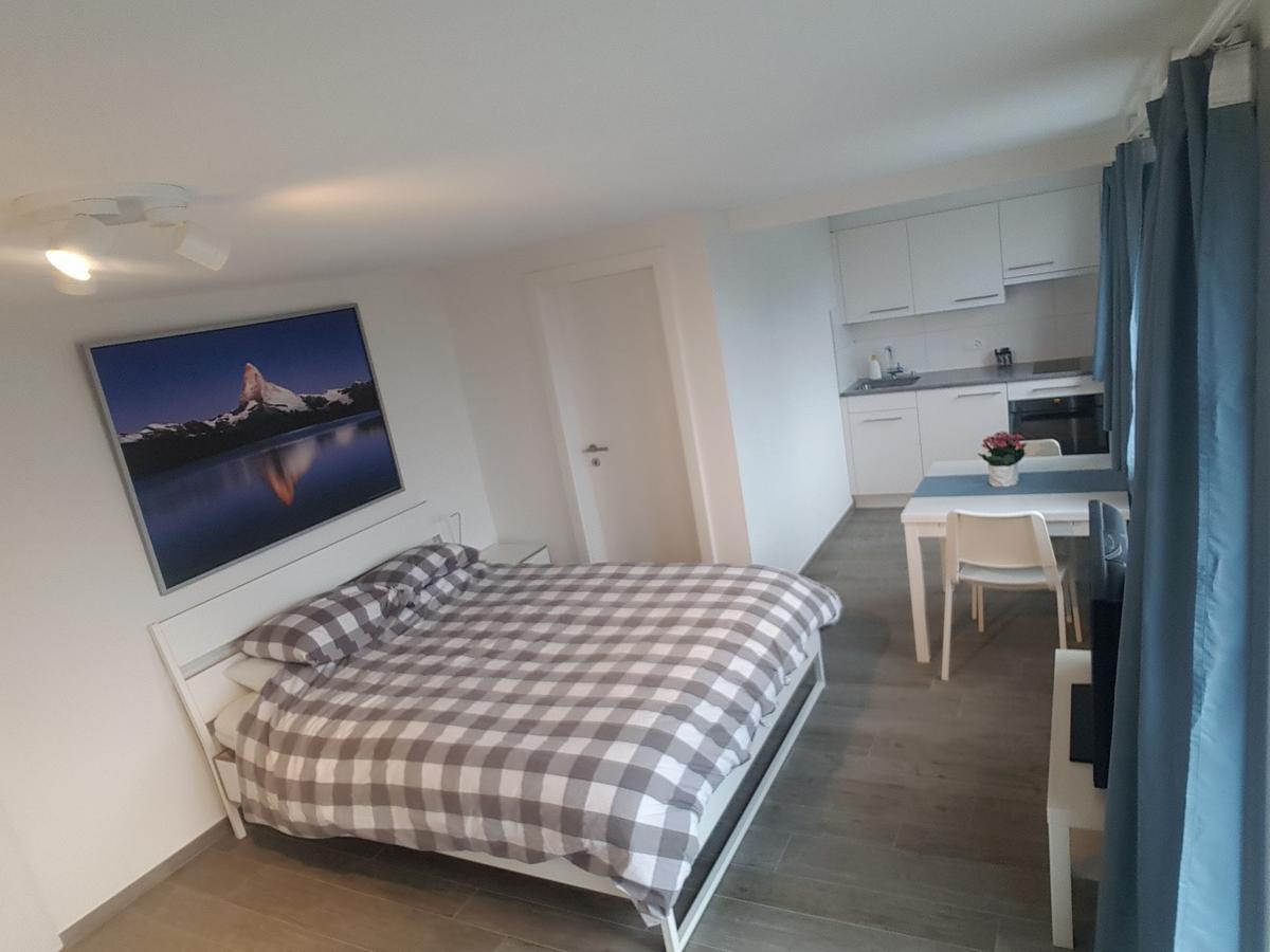 Lake View Private Studio Richterswil Kültér fotó