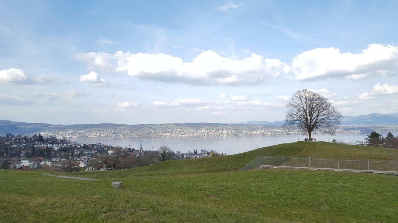 Lake View Private Studio Richterswil Kültér fotó