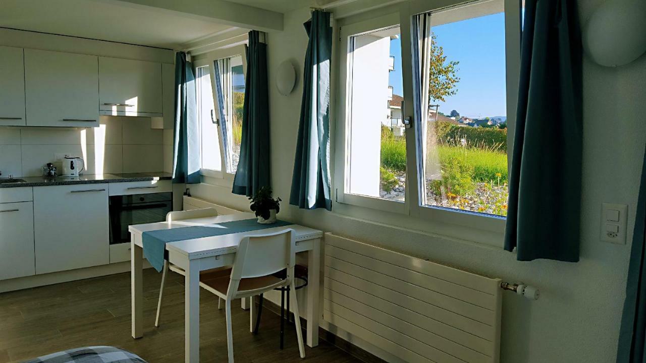 Lake View Private Studio Richterswil Kültér fotó