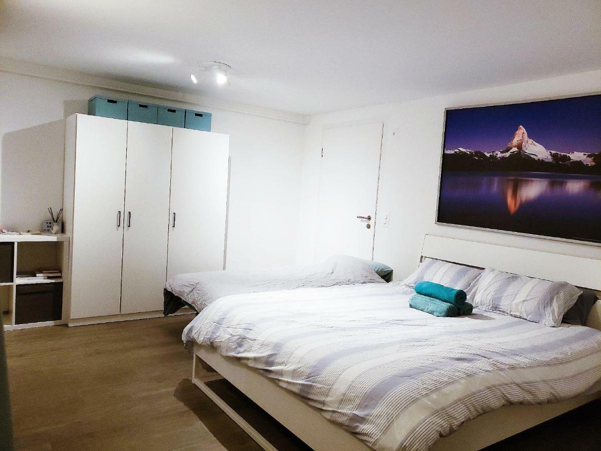 Lake View Private Studio Richterswil Kültér fotó